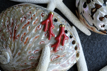 AnimazulEleonora VariniEleonora Varini - Coral Earrings